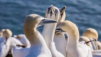 九游官方网站：开启手游世界的官方入口，信任从指尖开始